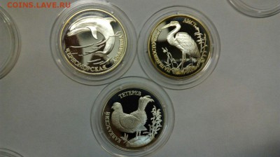 Красная книга 1995 Афалина Аист Тетерев до 25.04 с 200р - yHPgCfd8_Ow