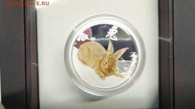50 центов 2011 год кролика до 25.04 с 200р - jd1vqS9N_e4