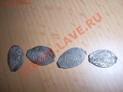 Помогите в опознании. - SUC53137.JPG