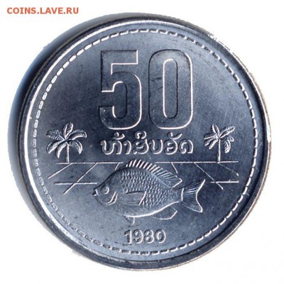делает - прямо сейчас !!! - 1lao50yRal