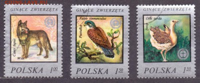 Польша, фауна до 26.04.2016 22:00 МСК - Польша, фауна