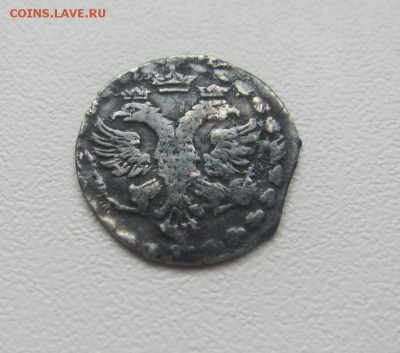 алтын 1704 г - до 25.04.2016 в 22.30 - IMG_2644.JPG