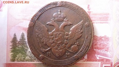 5 копеек 1804 г.км - image-143
