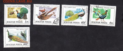 Венгрия Павлины - 154