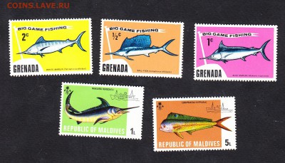 Гренада Мальдивы рыбки - 163