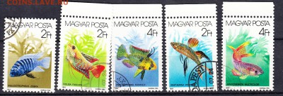 Венгрия 1987 рыбки - 183