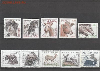 Фауна (Швеция) до 24.04 в 22.00 - IMG_20160423_0006