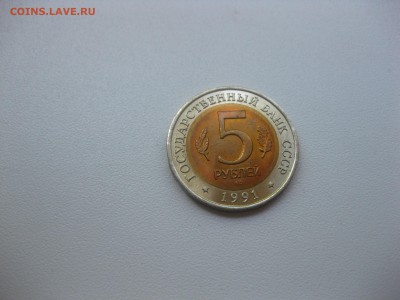 Винторогий козёл)!до 25.04.2016 - IMG_3501.JPG