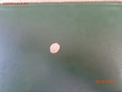 чешуйка на опознание - DSC00865.JPG