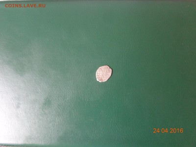 чешуйка на опознание - DSC00867.JPG