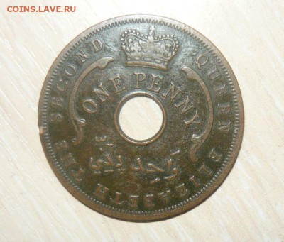 Британская Западная Африка 1 пенни 1957 год 30.04.2016 г. - 141.JPG