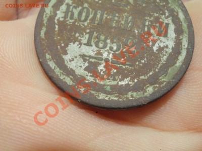 Сегодня копнул! - PB030445.JPG