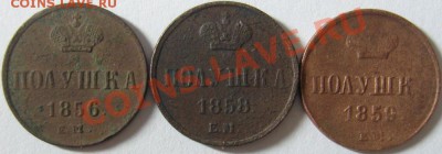 Полушки 1856 ЕМ, 1858 ЕМ, 1859 ЕМ - SN151163.JPG
