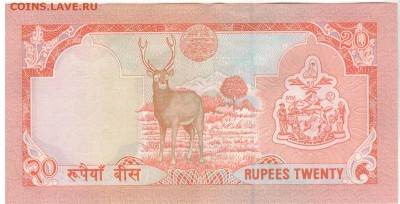 НЕПАЛ 20 РУПИЙ 1988- ОЛЕНЬ ДО 28.04.2016 В 22.00МСК (В136) - 1-неп20р1980е