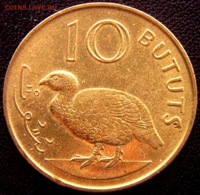 Гамбия_10 бутутов 1971 "Птица турач"; до 26.04_22.24мск - 11175