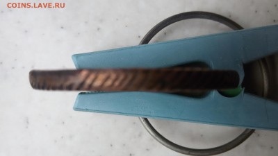 Кольцевик - 20160425_115055