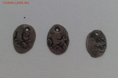 чешуя - IMG_20160425_144949-1