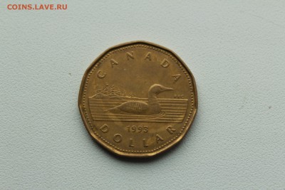 Канада 1 доллар 1993   01.05_22:00 - IMG_2925.JPG