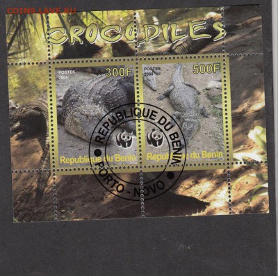 Бенин 2008 крокодилы - 12