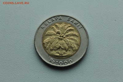 Индонезия 1000 рупи 1993 Пальма  01.05_22:00 - IMG_2942.JPG