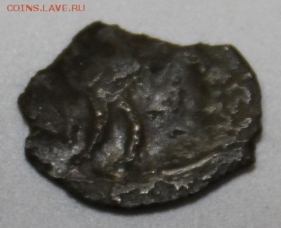 2 чешуи - IMG_4777.JPG
