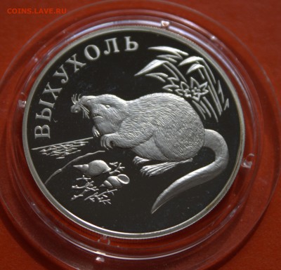 Красная книга серебро 2000 год. - IMG_3501.CR2