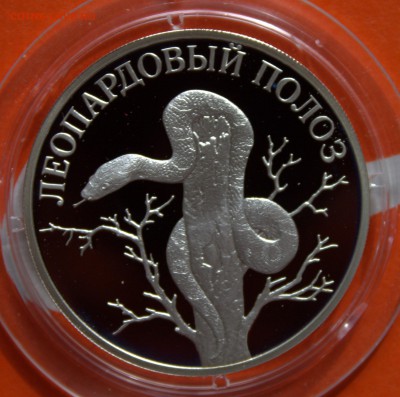 Красная книга серебро 2000 год. - IMG_3505.CR2