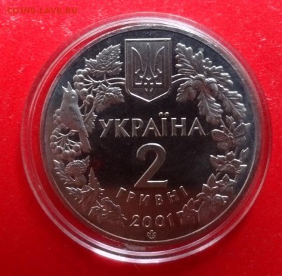 Украина 2001 Фауна - Рысь_2 до 28.04.2016г 22-00 - DSC09153.JPG