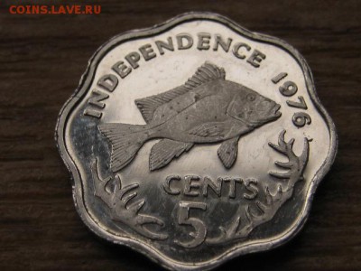 Сейшелы 5 центов 1976 год-тип до 28.04.16 в 21.00 М - IMG_2241.JPG