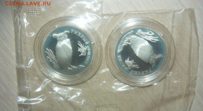 1 рубль Рыбный филин 1993 год Серебро Фикс - 9.JPG