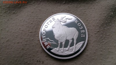 1 Руб 1993 Винторогий козёл до 29.04 до 22.00 МСК - DSC_1797.JPG