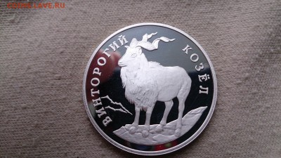 1 Руб 1993 Винторогий козёл до 29.04 до 22.00 МСК - DSC_1796.JPG