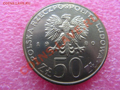 -Польша- 50 злотый 1980 (Казимир 1) -- 6,11 22-00 - PICT0744.JPG