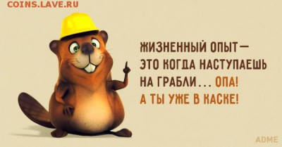 делает - прямо сейчас !!! - 18635310-R3L8T8D-650-4