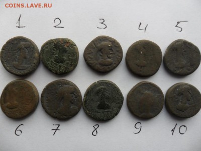49 монет Боспора - SAM_3336.JPG