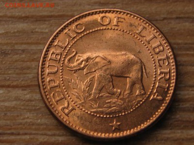 слон до 29.04.16 в 21.00 М - IMG_2528.JPG