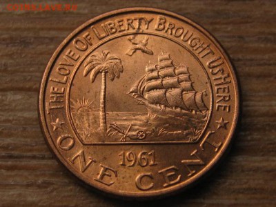 слон до 29.04.16 в 21.00 М - IMG_2527.JPG