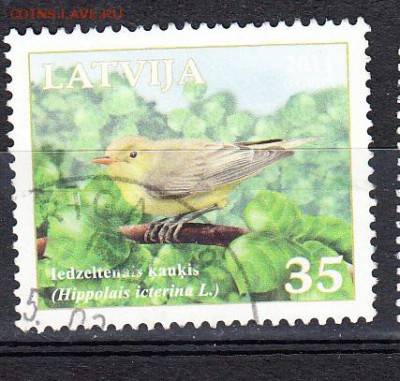 Латвия 2011 птицы - 274