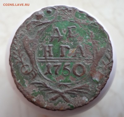 ДЕНГА 1750 ,короткий аук. - 1750.JPG