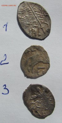 3 чешуйки, определение - IMG_3435.JPG