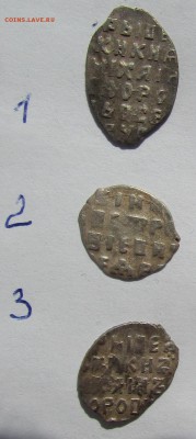 3 чешуйки, определение - IMG_3445.JPG