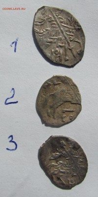 3 чешуйки, определение - IMG_3436.JPG