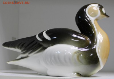 Краснозобая казарка. ЛФЗ ******* 3,05,16 в 22,00 - 28,03,2б 006