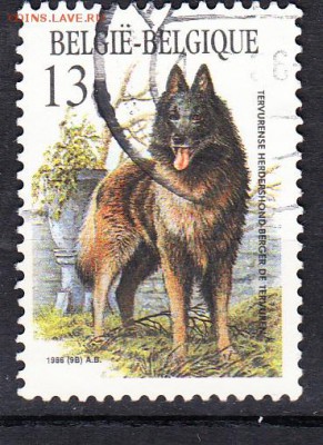 Бельгия 1986 собака - 10