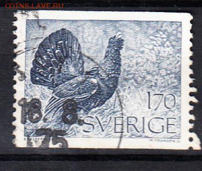 Швеция глухарь - 16