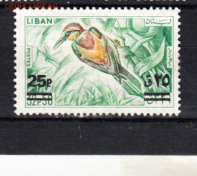 Ливан птицы - 28