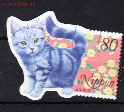 Япония кошка - 31