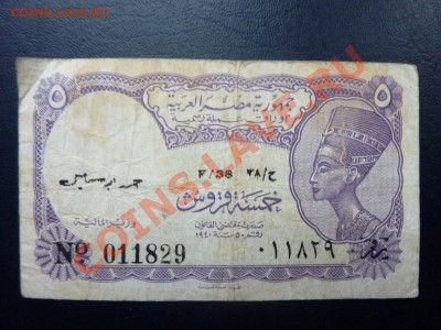 Египет 5 пиастр до 8.11.10 в 22-00 - MEMO0073.JPG