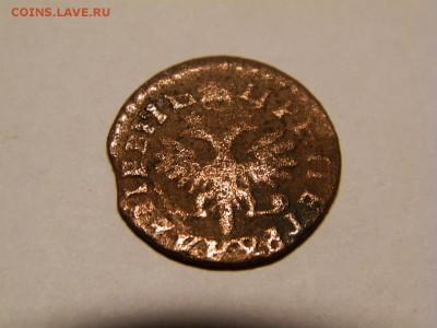 Денга 1712 год - P5300004.JPG