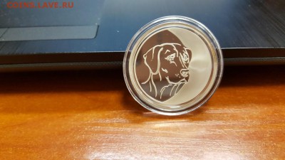 3 рубля 2006 г. год собаки до 5.05 - 20160421_094508